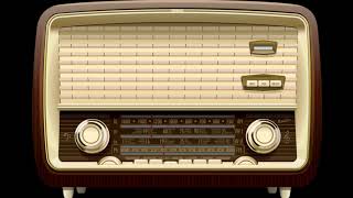 Mesajul radio al lui Viorel Bogdan catre fortele de ordine