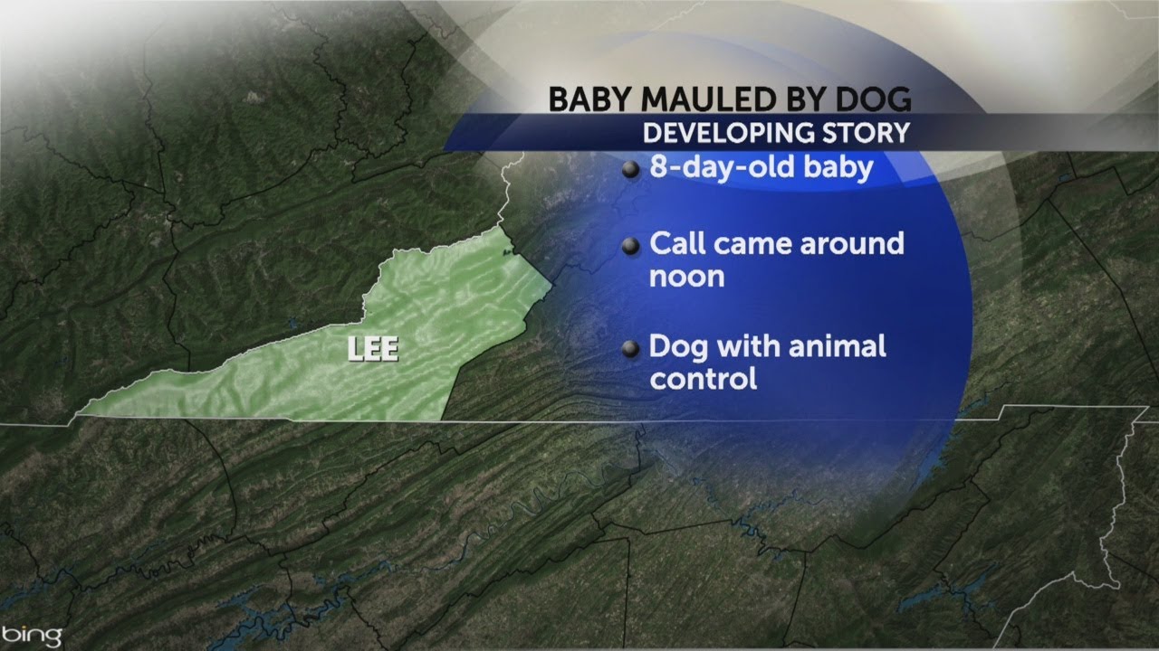 8-day-old baby girl dies after dog attack in Lee County - YouTube
