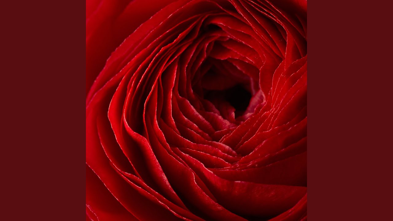 YouTube에서 浪漫爱情 보기