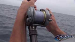 Apollo Sportfishing