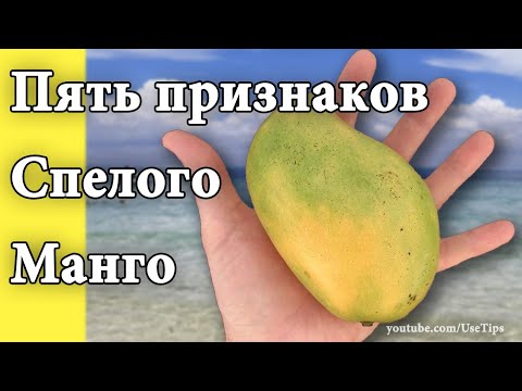 ✅ Пять признаков спелого манго! Выбираем созревший манго.