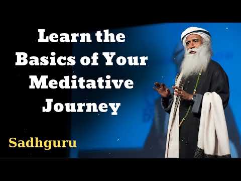 Learn the Basics