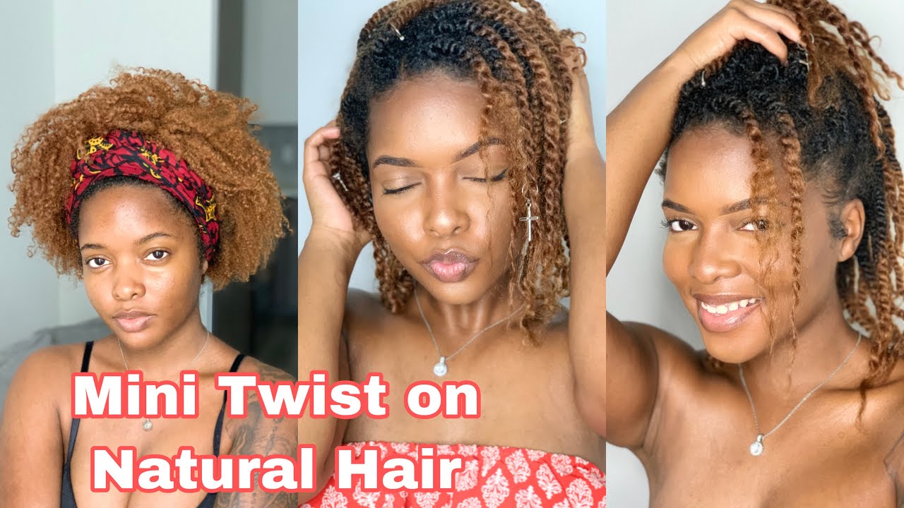 HOW TO: MINI TWIST on Natural Hair | Low Manipulative Hairstyle | Jamia ...