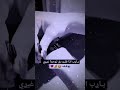 يارب اذا قلبو دق لوحدا غيري يتوقف لايك اشتراك استوريات حب يارب اذا قلبو دق لوحدا غيري يتوقف لايك اشتراك استوريات حب