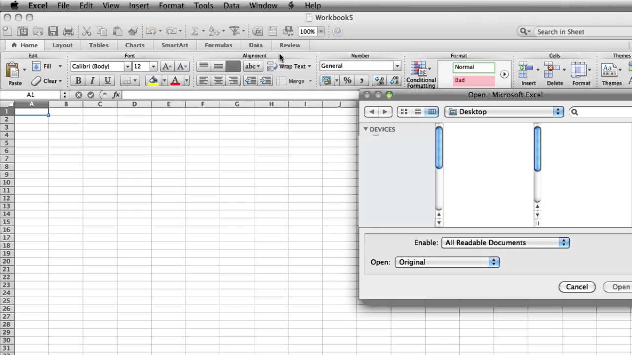 excel file not opening on mac