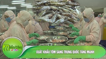 Xuất khẩu tôm sang Trung Quốc tăng mạnh