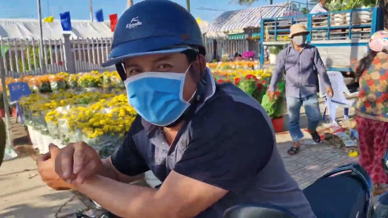 hoa xuân Bình Đại chiều 29 tết