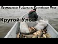 Крутой Улов Рыбака На Каспии (Калмыкия) 👍Канал Рыбалка в Дагестане👍