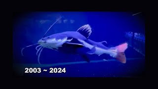 My 21 year Old Redtail catfish Died. :( Net Worth