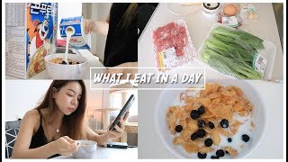 DAILY ROUTINE 🇰🇷 - WHAT I EAT IN A DAY | Erna Limdaugh