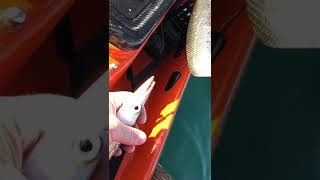 Baby barracuda 2020 03 08 at 12 44 09 screenshot 4