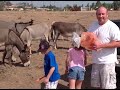 MORENO VALLEY: Donkeys are in a gray area of law, ownership