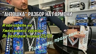 «Антошка, пойдем копать картошку» разбор на гармони. И как играть на уменьшенной гармони по разборам