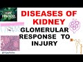 RENAL PATHOLOGY Part 2 : Glomerular response to injury