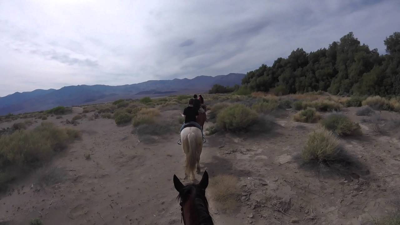 Death Valley horseback riding YouTube