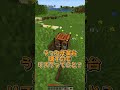 壊すたびに奈落ができる世界 #マイクラ