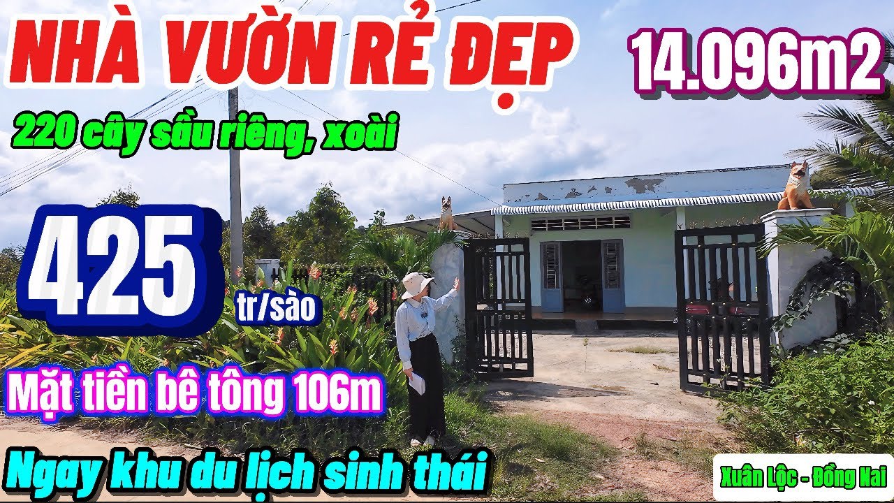 Nhà đất đồng nai,chủ nợ ngân hàng bán gấp 425tr/ sào nhà vườn tâm huyết 200 cây sầu riêng cực đẹp