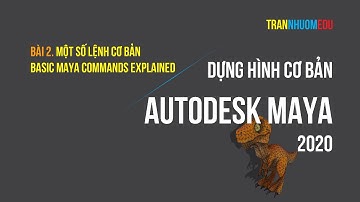Dựng hình cơ bản | Bài 2 Lệnh cơ bản trong Maya 2020