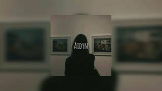 Aidyn - Дама босиком на берегу(speed up)