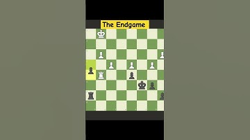 The Endgame #chess #chessgame #chesstricks #chesspuzzle