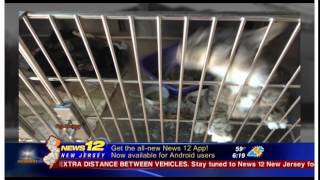 NJ12 Kane in Your Corner - Helmetta Regional Animal Shelter Part 1