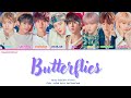Stray Kids Butterflies Lyrics Jap Rom Eng
