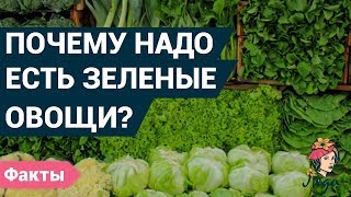 Почему полезно кушать зеленые овощи? Истинная польза овощей. Почему полезно кушать зеленые овощи? Истинная польза овощей.