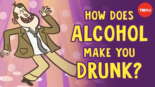 How does alcohol make you drunk? - Judy Grisel Resimi