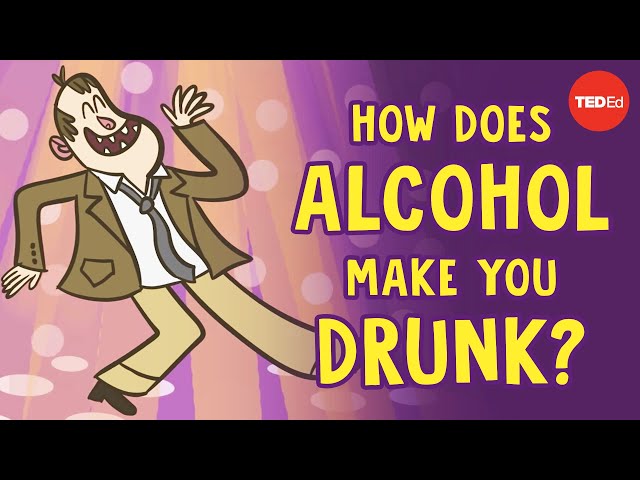 How does alcohol make you drunk? - Judy Grisel class=