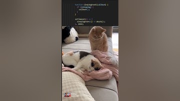 Javascript setTimeout method#coding #programming #javascript #python