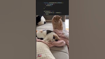 Javascript setTimeout method#coding #programming #javascript #python