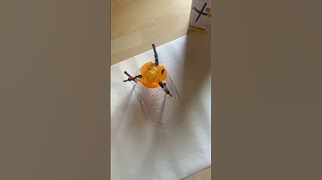 Doodling Robot Drawing (Time-Lapse)