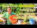 Grow Citrus ANYWHERE! | Potting Tips | MicoClimate | Hardiness Zones | Organic Sun Block Protection