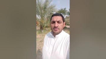 نهاية سورة الجمعة بصوت القارئ عدي محمد المحمدي من مدينة الفلوجة