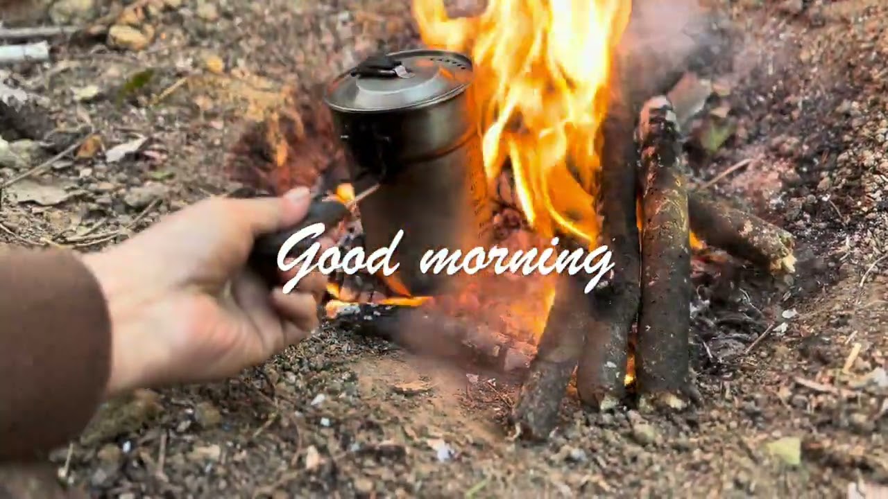 Overnight Camping/A certain green area 某緑地