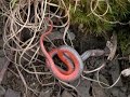 Fall Flipping for Snakes