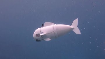 Meet SoFi, the robot that swims like a fish