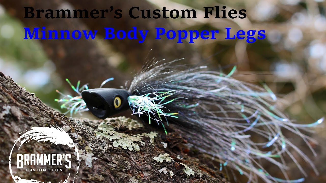 Fly Tying Brammer's Minnow Body Popper Legs Pike/Musky Fly YouTube
