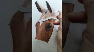 Colour pencil drawing, horse art ✍️