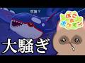 【ぽこあポケモン】思ったより話大規模だな?【切り抜き】