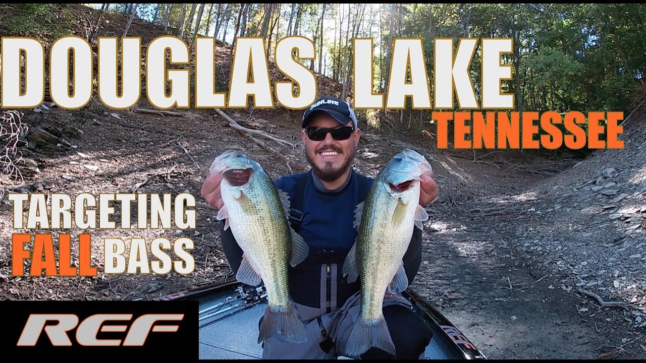 Douglas Lake Fishing Flats For Fall Largemouth Bass Youtube