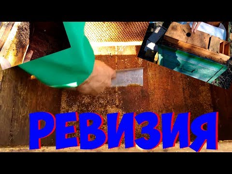 Осмотр пчел весной🐝.Ревизия.Чистка.Подкормка.Забераем