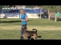 IQ K9 TRAINING | Carlsbad Dog Training - Happy, Awesome Off-Leash Dog Training at the Park! IQ K9 TRAINING | Carlsbad Dog Training - Happy, Awesome Off-Leash Dog Training at the Park!