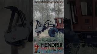 Mulching Trees with the Barko 930b #forestrymulching #mulcher #landclearing #treeremoval  #farming