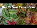 Full Bioactive Vivarium Scape (Reptile Safe) | How To Build A Bioactive Vivarium Start To Finish