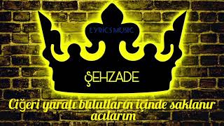 Şehzade - Delalım sözləri LRYİCS Music orjinal soun @sehzonline