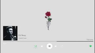 Mustafa Ceceli - Gül Rengi // Slowed   ReverB