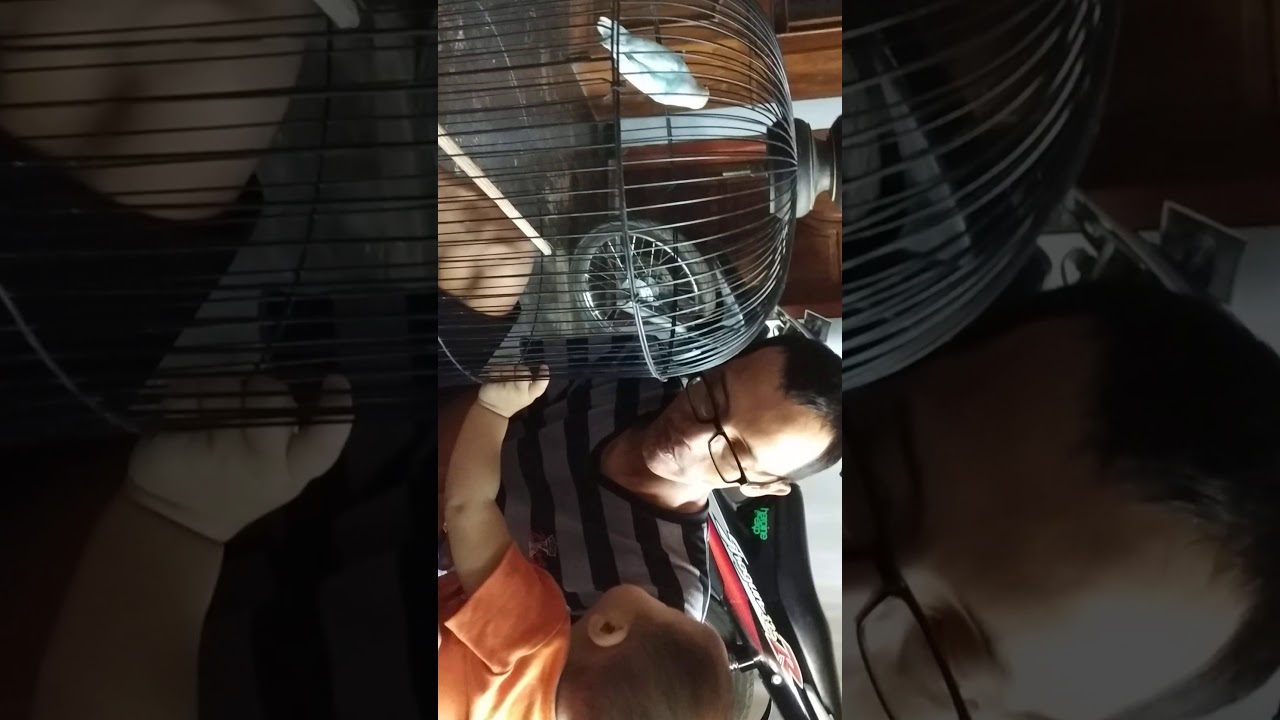 Bermain dengan burung lovebird 
