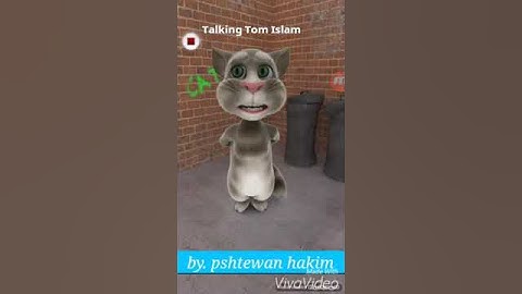 Talking Tom Islam سورة الإخلاص