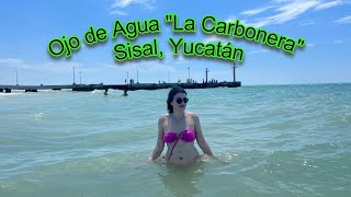 Ojo de Agua La Carbonera en Sisal  Yucatán un paraíso de ensueño descubrámoslo #yucatán #playa